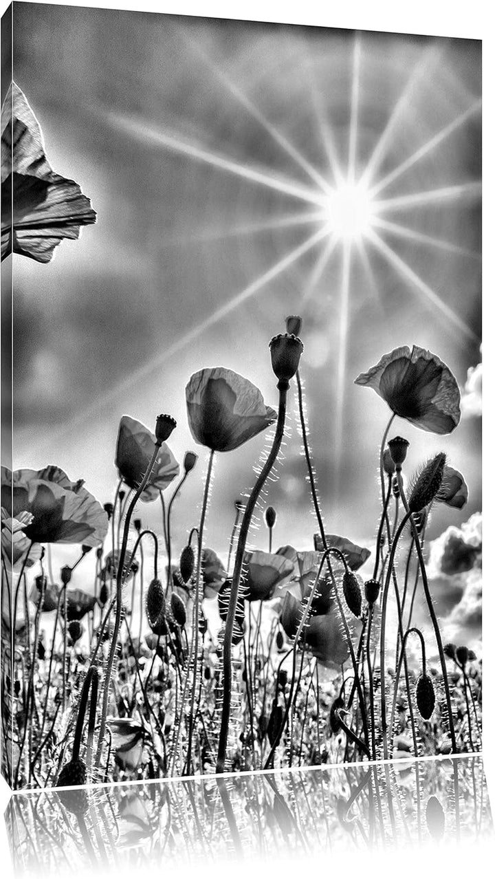 Monocrome, Mohnblumen, Format: 100x70 auf Leinwand, XXL riesige Bilder fertig gerahmt mit Keilrahmen
