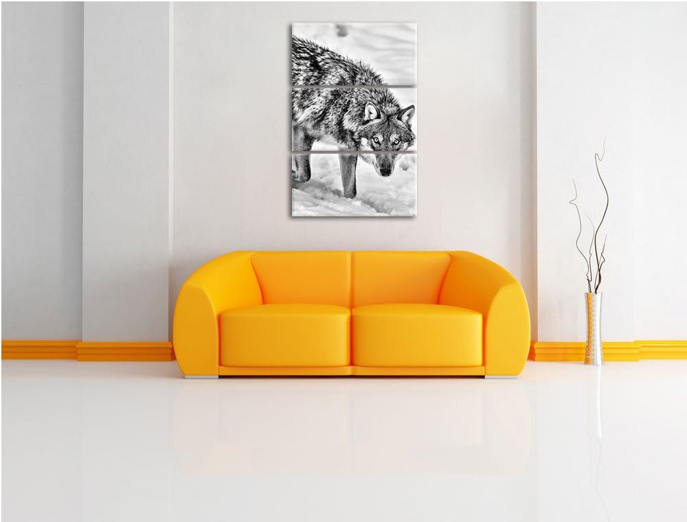 Pixxprint seltener Wolf im Schnee als Leinwandbild/Grösse: 3 Teilig (120x80) cm/Wandbild/Kunstdruck/