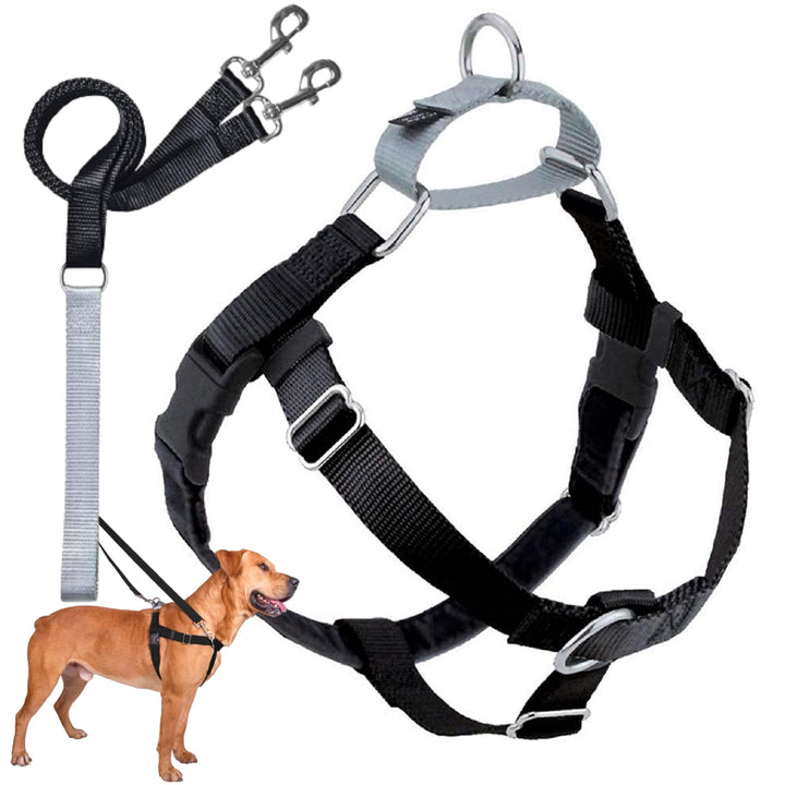 2 Hounds Design 818557022419 No-Pull Dog Harness Training Package with LeashX-Small (5/8 Zoll Wide)