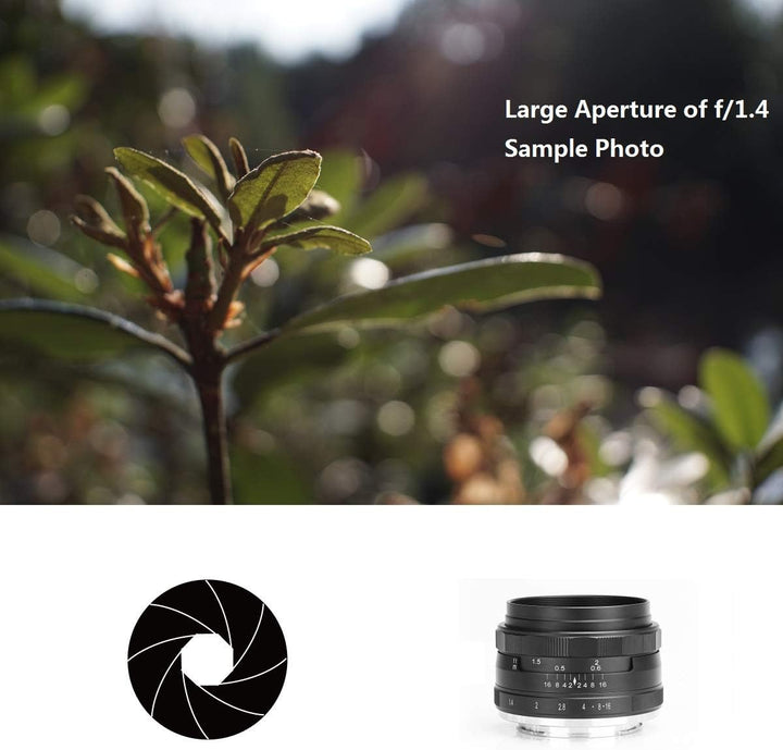 Meike MK-35mm F/1.4 Manual Focus Large Aperture Lens Compatible with Olympus Panasonic Micro Four Th