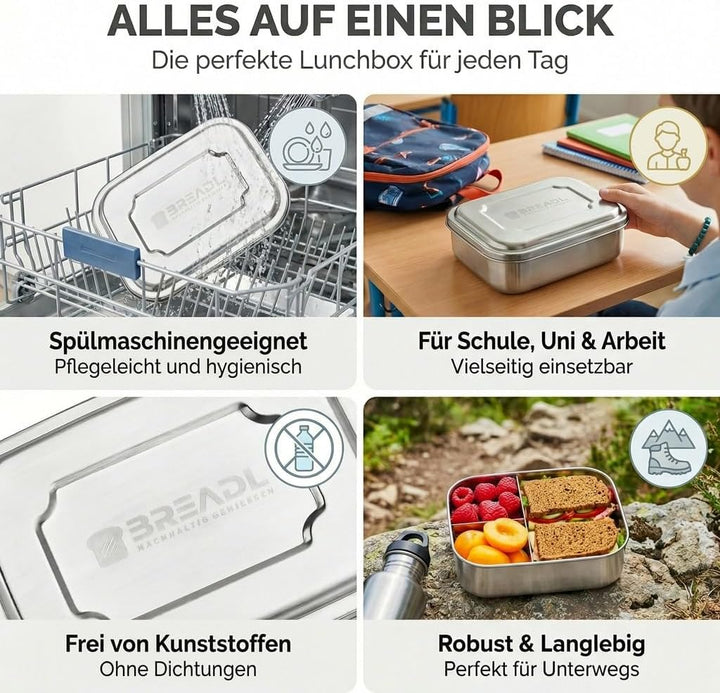 Edelstahl Brotdose, Feste Trennwand und 3 Fächer, Plastikfrei, Rostfrei, Spülmaschinengeeignet, Klei