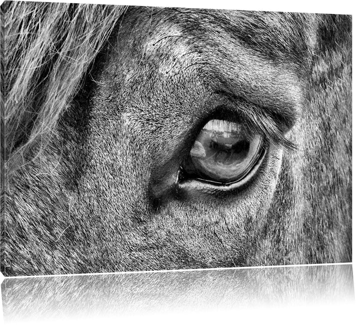 Pixxprint sanfte grosse Pferdeaugen / 100x70cm Leinwandbild bespannt auf Holzrahmen/Wandbild Kunstdr