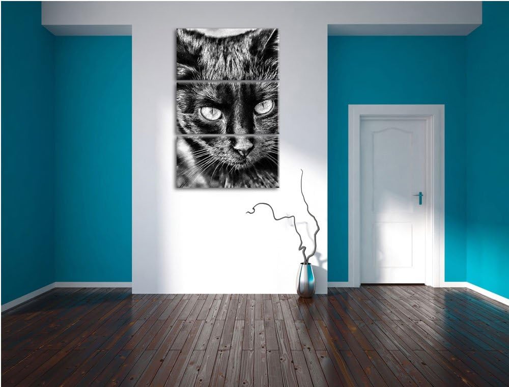 Pixxprint Schwarze Katze als Leinwandbild/Grösse: 3 Teilig (120x80) / Wandbild/Kunstdruck/fertig bes