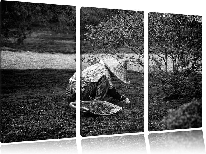 Pixxprint japanischer Gärtner bei der Arbeit als Leinwandbild/Grösse: 3 Teilig (120x80) / Wandbild/K