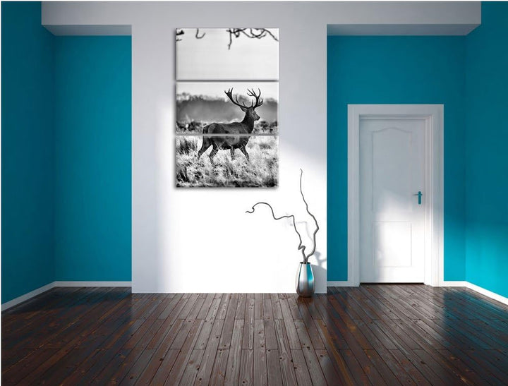 Pixxprint Hirsch im Sonnenuntergang als Leinwandbild/Grösse: 3 Teilig (120x80) cm/Wandbild/Kunstdruc