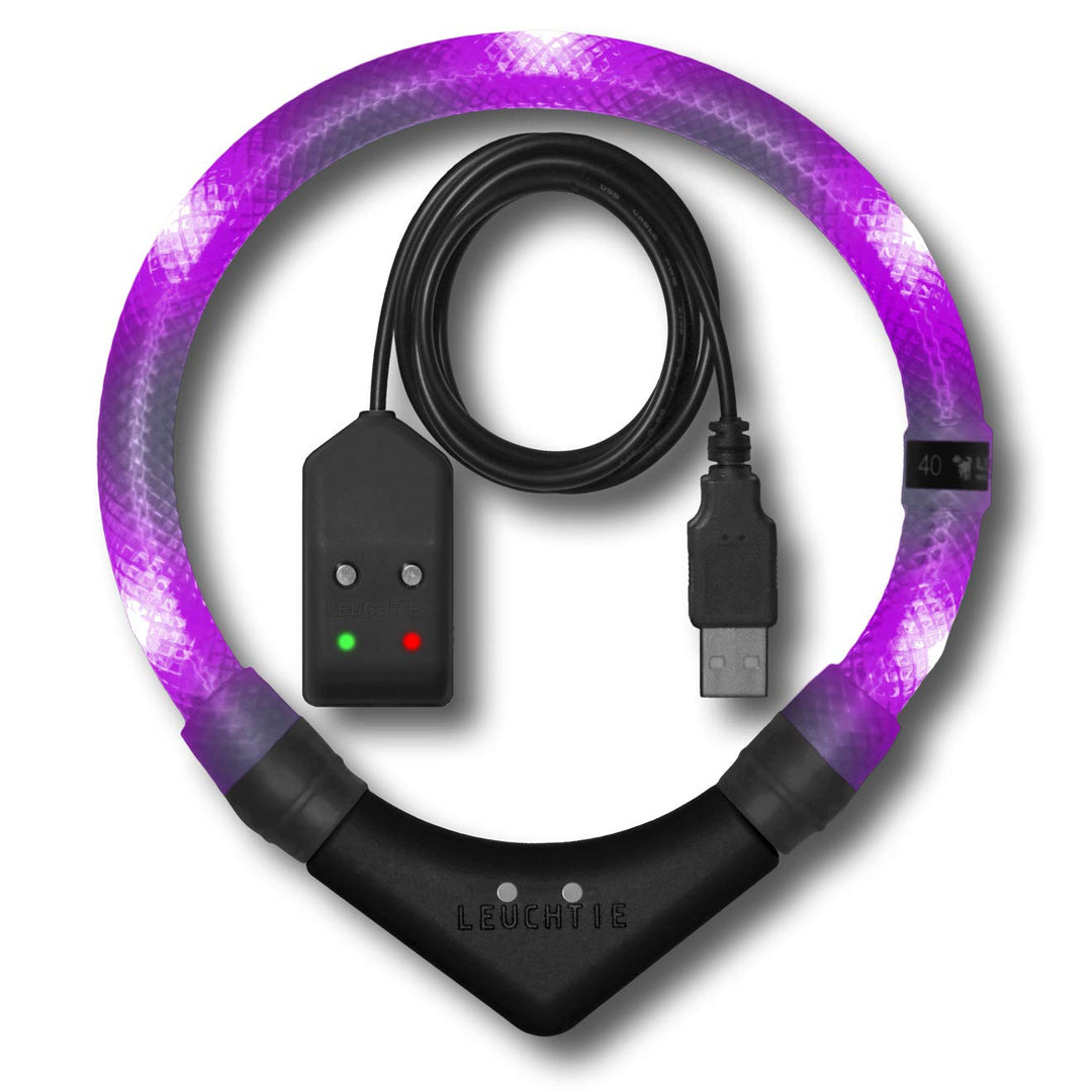 LEUCHTIE® Easy Charge Leuchthalsband Hund aufladbar, wasserdichtes LED Halsband, Leuchtband für Hund