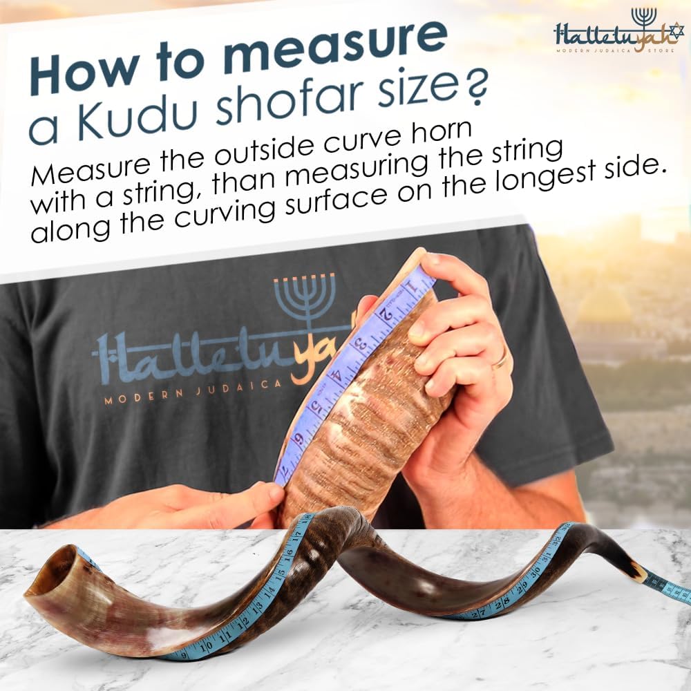HalleluYAH Original koscher, halbpolierter Kudu Shofar aus Israel 35"-39", 35"-39"