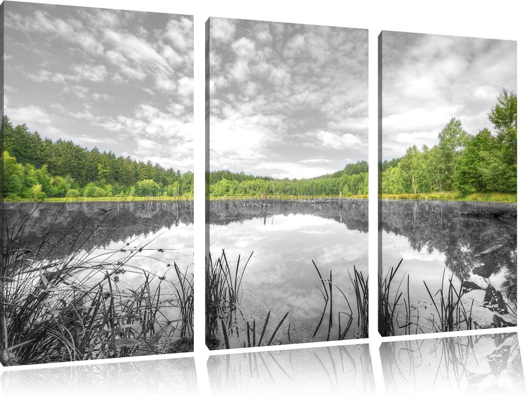Pixxprint Traumhafter See in grünem Wald als Leinwandbild | Grösse: 3 Teilig (120x80) | Wandbild| Ku