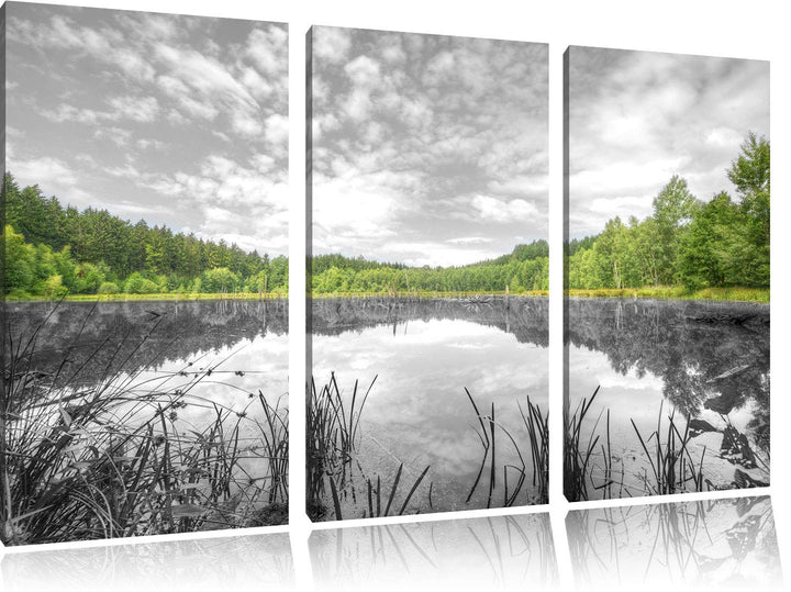 Pixxprint Traumhafter See in grünem Wald als Leinwandbild | Grösse: 3 Teilig (120x80) | Wandbild| Ku