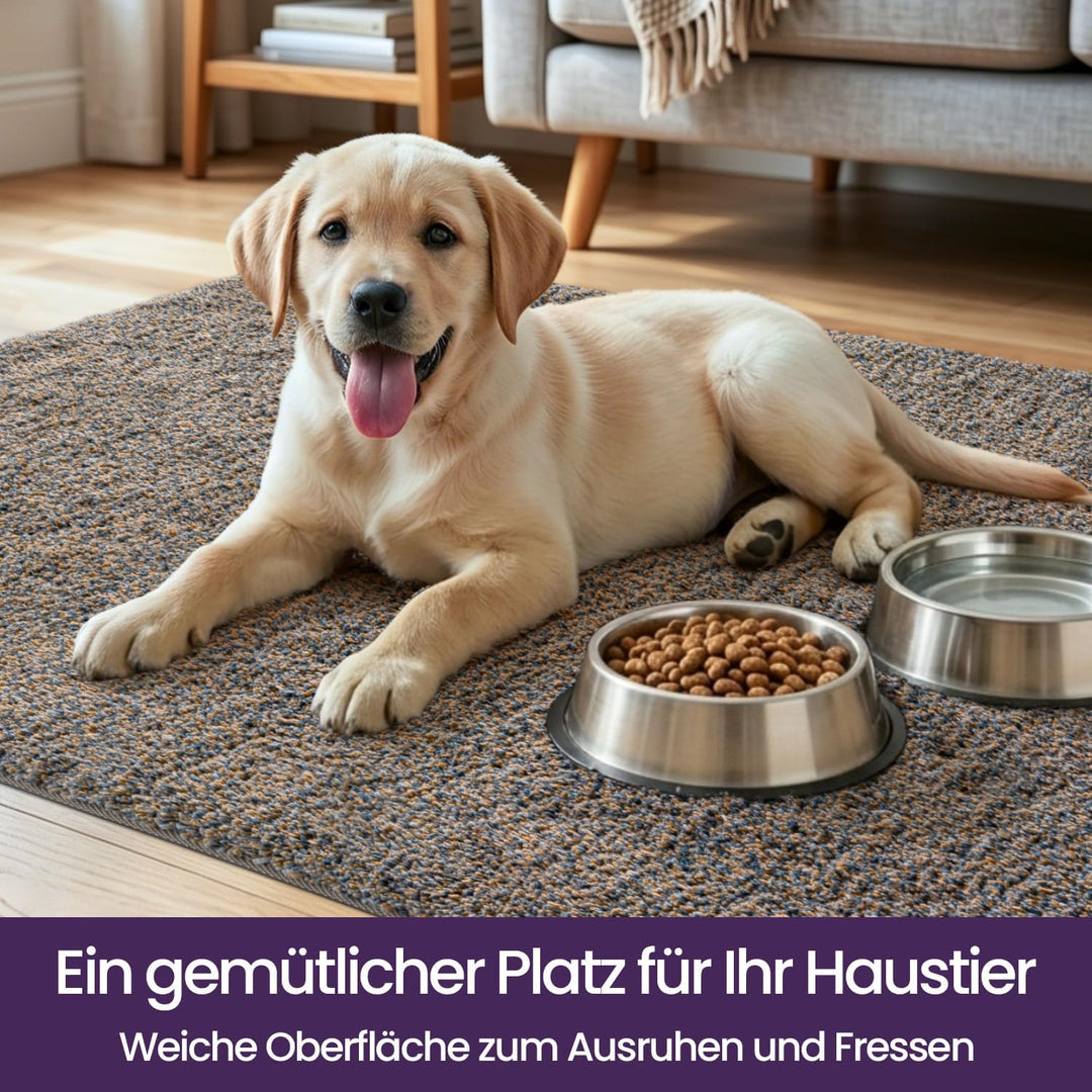DEXI Fussmatte Innen 80 x 120 cm, rutschfeste Schmutzfangmatte, Maschinenwaschbare Fussmatte, Saugst