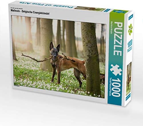 CALVENDO Puzzle Malinois - Belgische Energiebündel 1000 Teile Lege-Grösse 64 x 48 cm Foto-Puzzle Bil