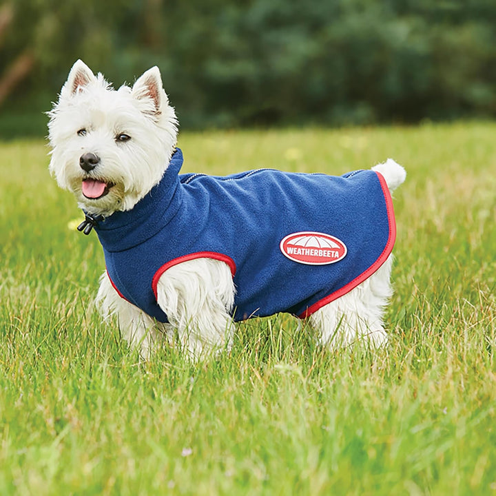 2022 Weatherbeeta Comfitec Fleece Zip Dog Coat 1003457 - Navy/Red - 40cm, 40cm