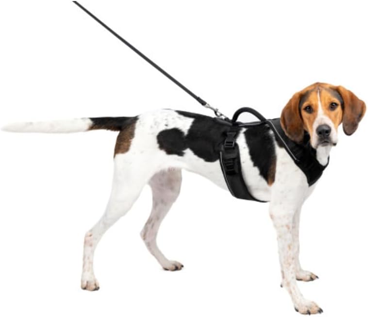 PetSafe EasySport Geschirr, Elastischer Halsausschnitt, Gepolsterter Griff, Für Hunde von 29,5 bis 3