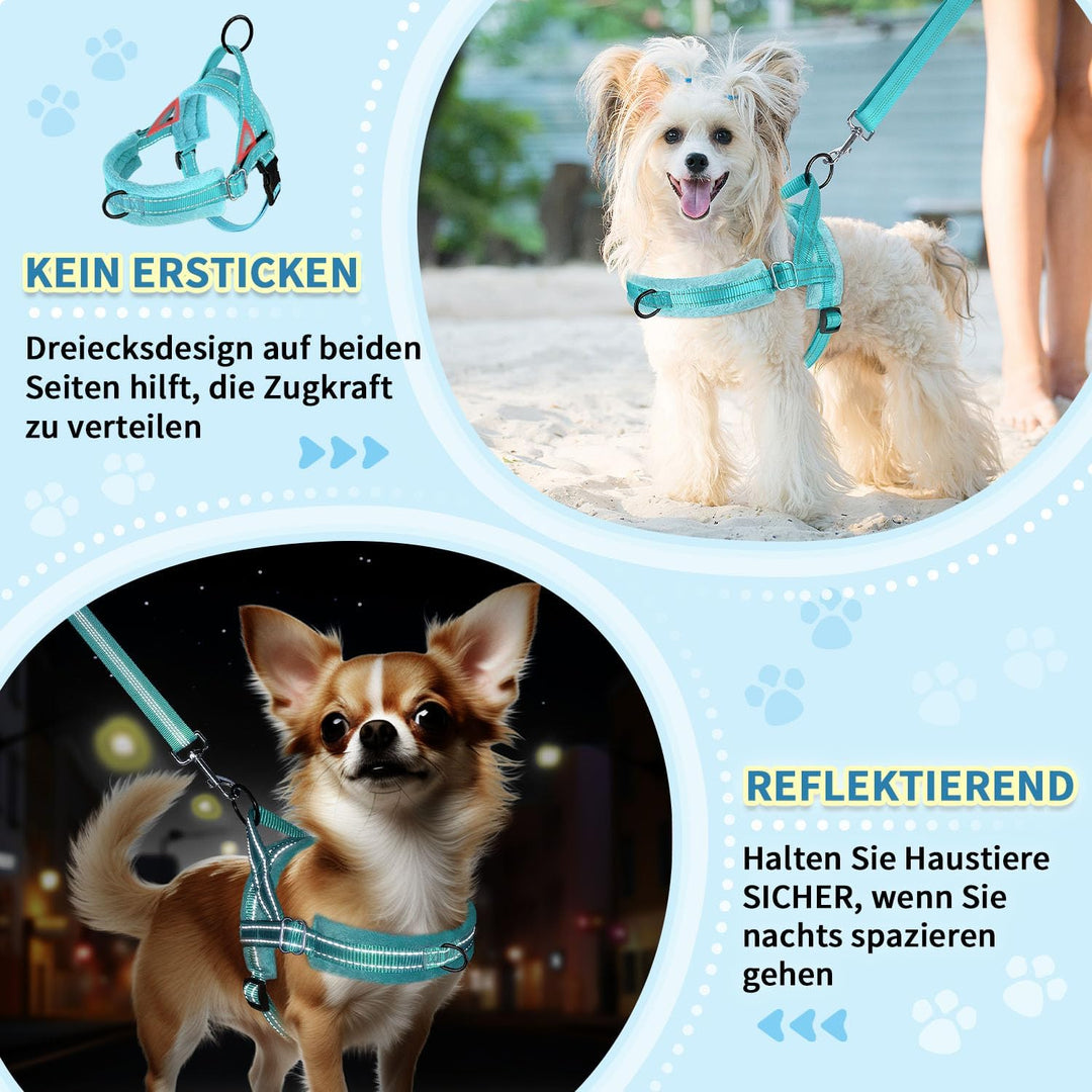 Hundegeschirr mit Leine für mittelgrosse Kleine Hunde, Weich gepolsterter No-Pull Brustgeschirr mit