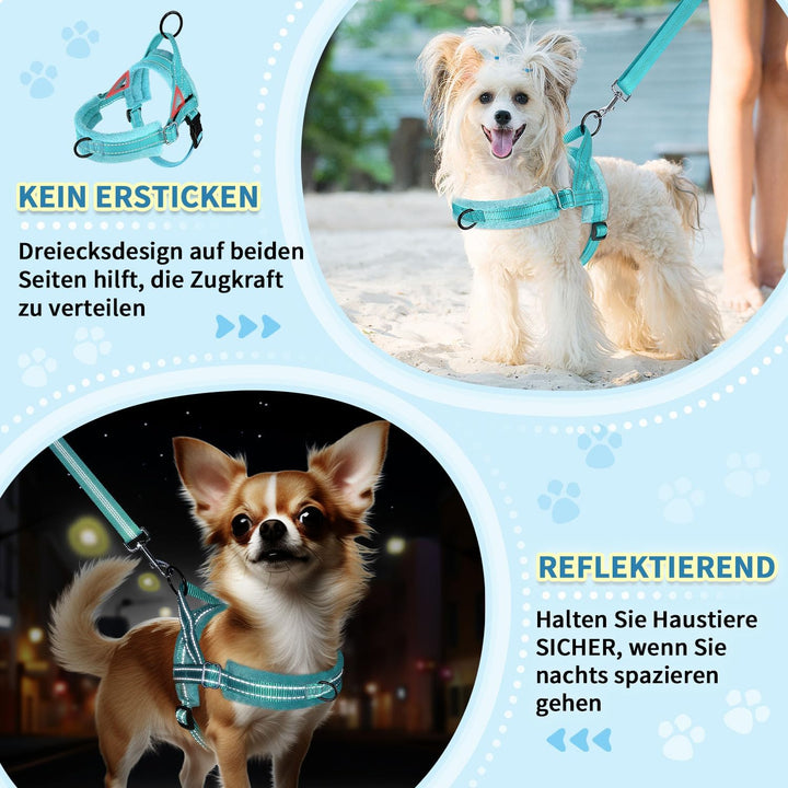 Hundegeschirr mit Leine für mittelgrosse Kleine Hunde, Weich gepolsterter No-Pull Brustgeschirr mit