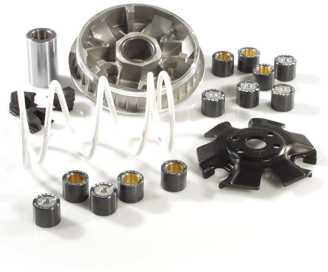 Variator MALOSSI Multivar 2000, für APRILIA Scarabeo/Sportcity One/ITALJET Jet Set/Torpedo /MALAGUTI