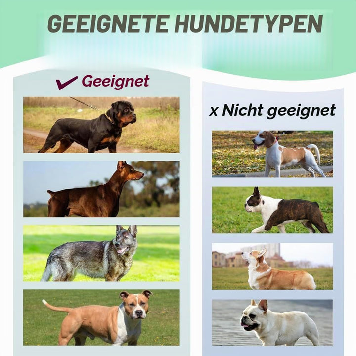 TSPRO Taktisches No-Pull Schwerlast-Hundegeschirr mit Griff &amp; Schnellöffnungsverschluss, Stabil Adju