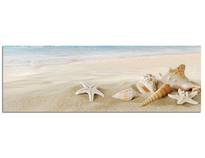 Paul Sinus Art Panoramabild auf Leinwand und Keilrahmen 150x50cm Sandstrand Meer Muscheln Schneckenh