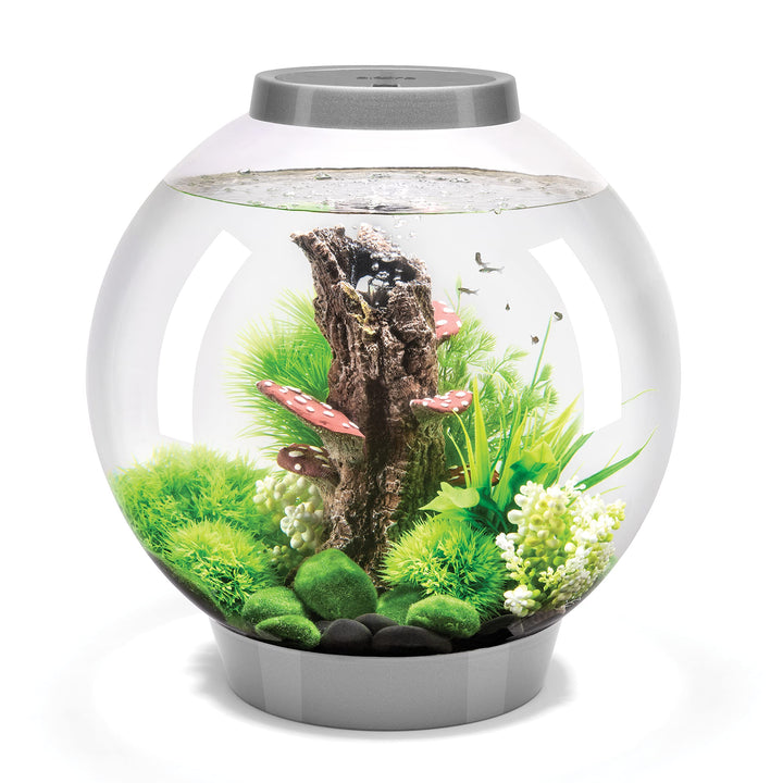 biOrb 72006 CLASSIC 30 LED silber - dekoratives Aquarium Komplett-Set mit Filter-System, LED-Beleuch