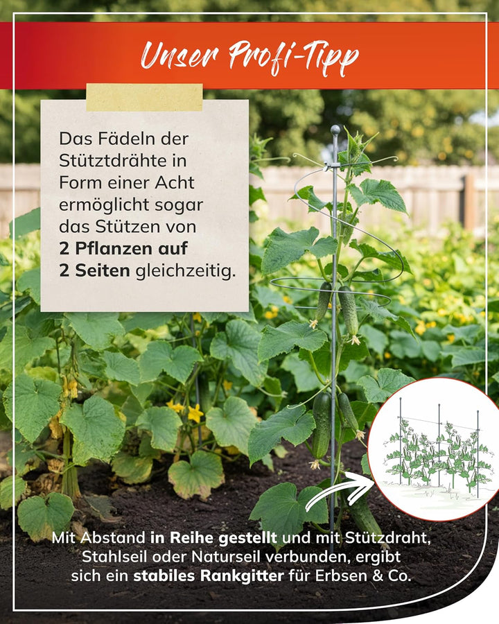 Pflanzenstab Rankhilfe Pflanzen stütze Rankstäbe Pflanzenstäbe Pflanzenstütze Gartenstab Rankstab -