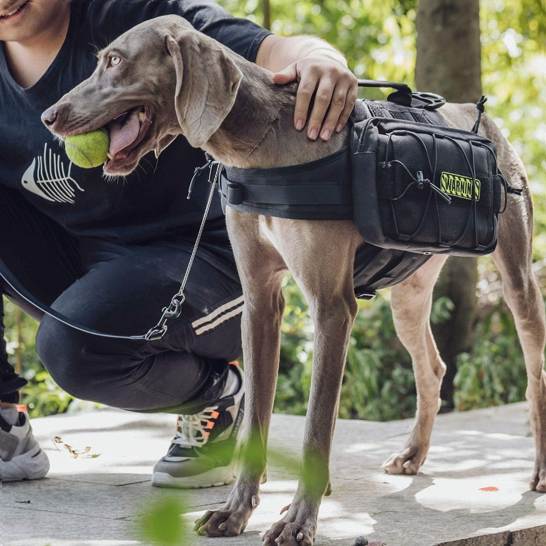 OneTigris Mammoth Hunderucksack 2.0 Version Reissen Camping Wandern Hundebackpack für M/L Grösse Hun