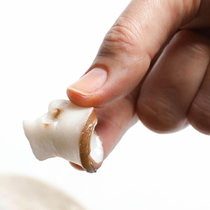 Deco Woerner Deko-Champignon-Scheiben Dummy Fake Lebensmittel Attrappen braune Pilze 12 Stück
