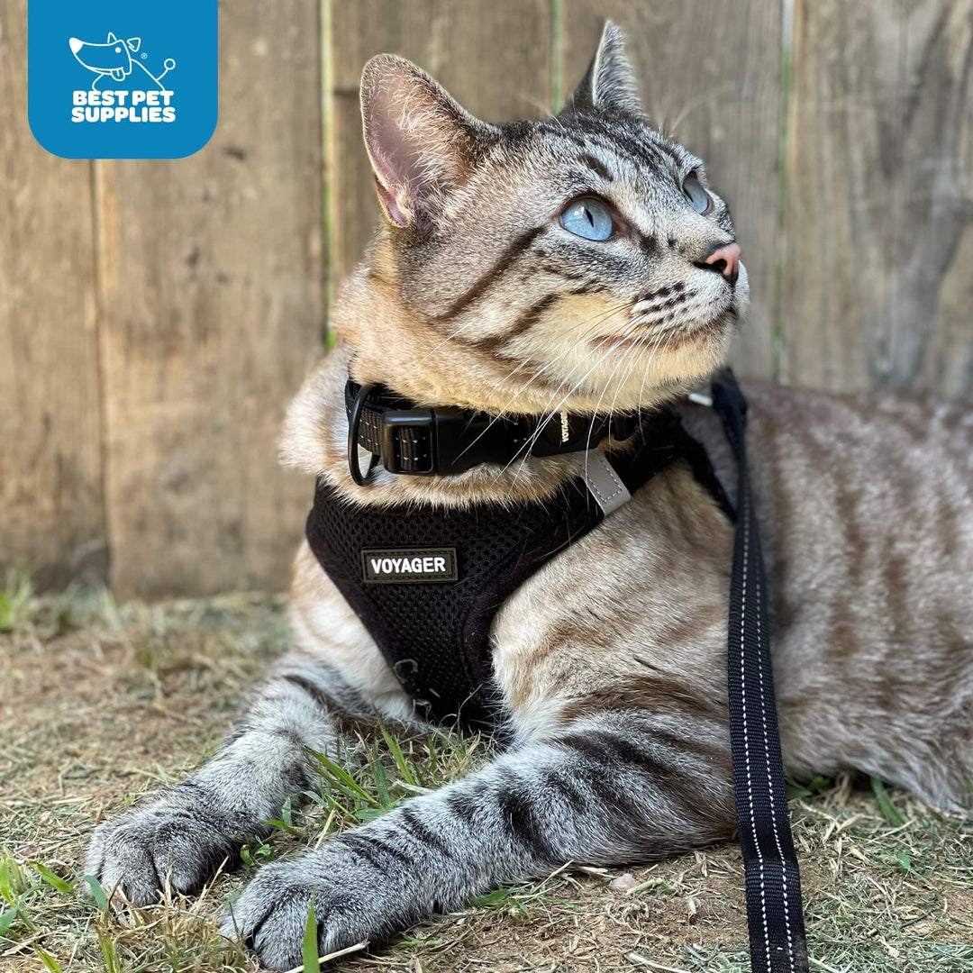 Voyager Step-in-Air-Hundegeschirr, Allwetter-Netzgewebe für kleine und mittelgrosse Hunde und Katzen