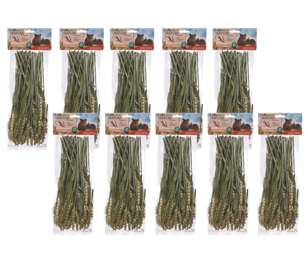 Dehner Best Nature Nagersnack, Weizenhalme, 10 x 75 g (750 g) Weizenhalme 75 g (10er Pack), Weizenha
