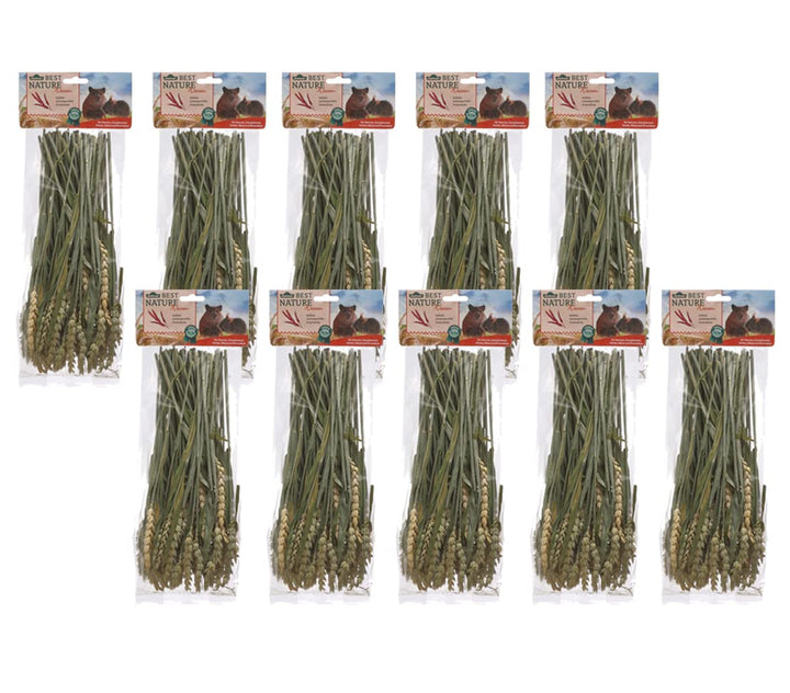 Dehner Best Nature Nagersnack, Weizenhalme, 10 x 75 g (750 g) Weizenhalme 75 g (10er Pack), Weizenha