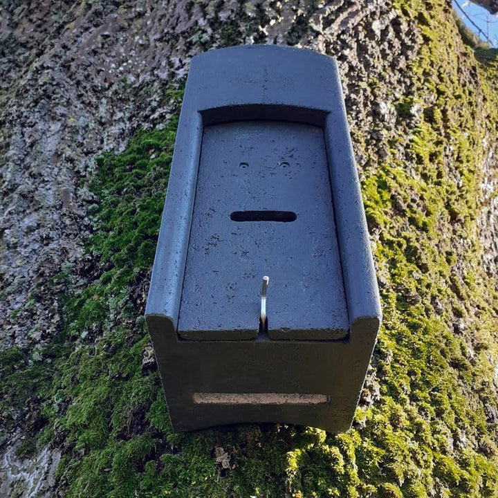 Fledermaus-Kuppelhöhle aus Holzbeton | Wetterfest | Fledermausquartier | Fledermauswochenstube | Gro
