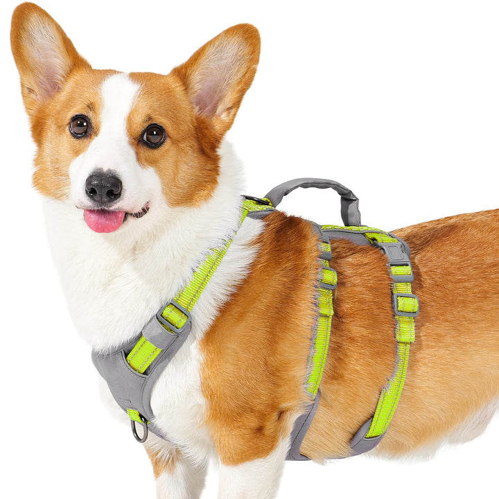 Huntboo Sicherheitsgeschirr Hund Ausbruchsicher, Panikgeschirr für Hunde, Reflektierendes Geschirr H