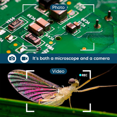 USB-Digitalmikroskop, Endoskop mit 50- bis 1600-facher Vergrösserung, 8 LED-Hilfslichtquelle, tragba