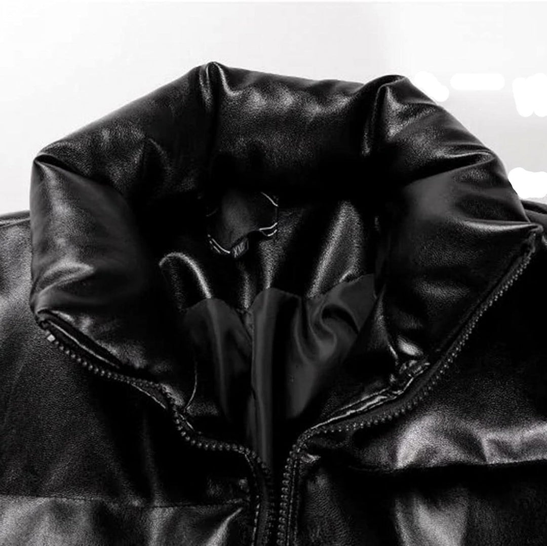 Celucke Daunenjacke Herren Glänzend Übergangsjacke Stehkrage Steppjacken Winterjacke Daunen Reissver