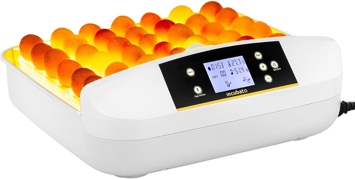 incubato IN-32DDI Brutapparat für 42 Eier Inkubator integrierte Schierlampe vollautomatisch LCD Anze