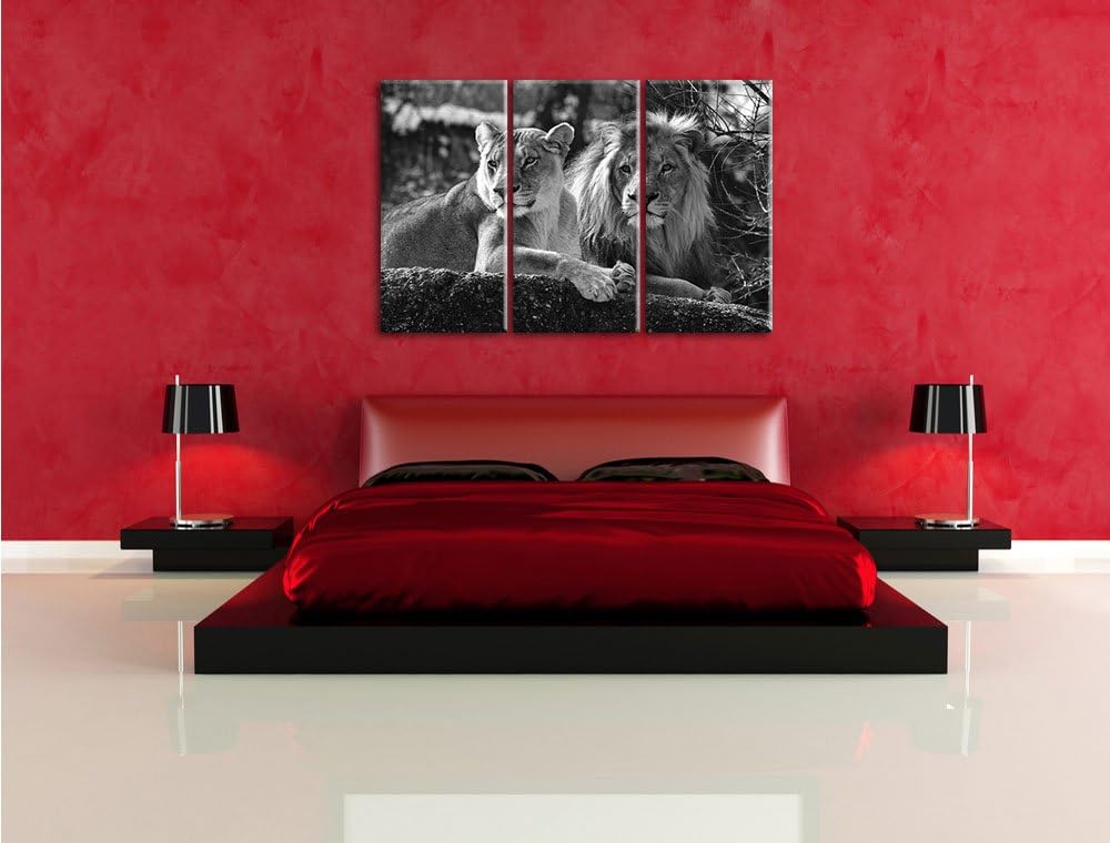 Pixxprint interessiertes Löwenpaar Kunst B&W als Leinwandbild/Grösse: 3 Teilig (120x80 cm) cm/Wandbi