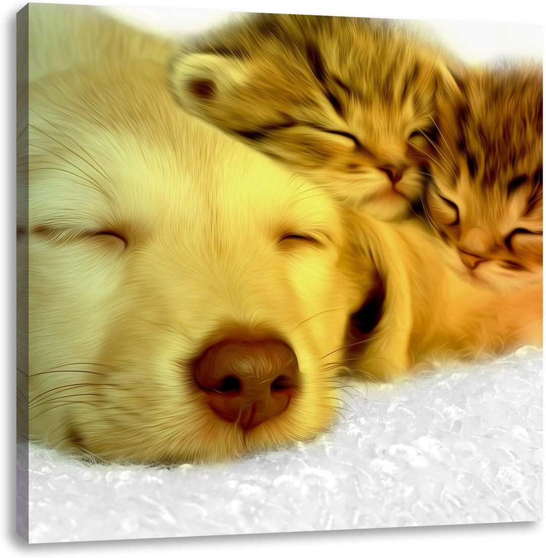 Pixxprint niedlicher Welpe kuschelt mit süssen Kätzchen schwarz/weiss, Format: 70x70 auf Leinwand, X