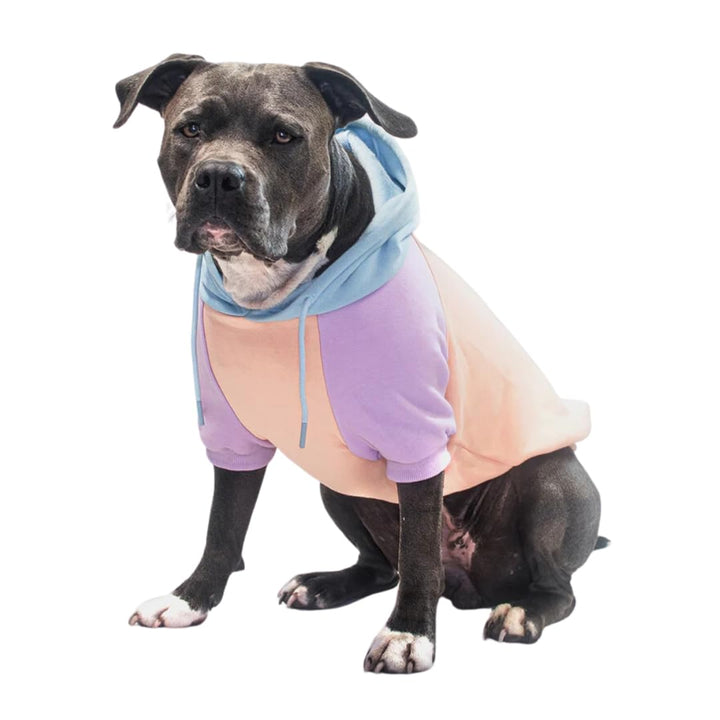 Spark Paws Hunde Hoodie Sweatshirt Pullover - Premium Qualität, weich, Komfortabel und passend für g