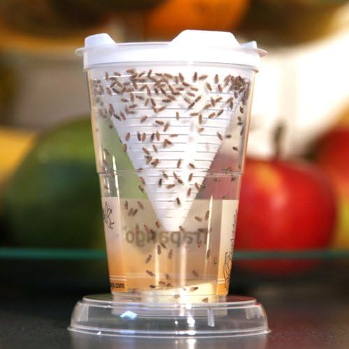 6x Fruchtfliegen-Lebendfalle Trapango®, (6er-Pack)