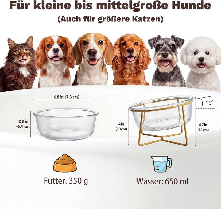 Futternapf Hund Erhöht aus Glas - Hundenapf mit Metallständer - Fress- und Wassernapf für Kleine bis