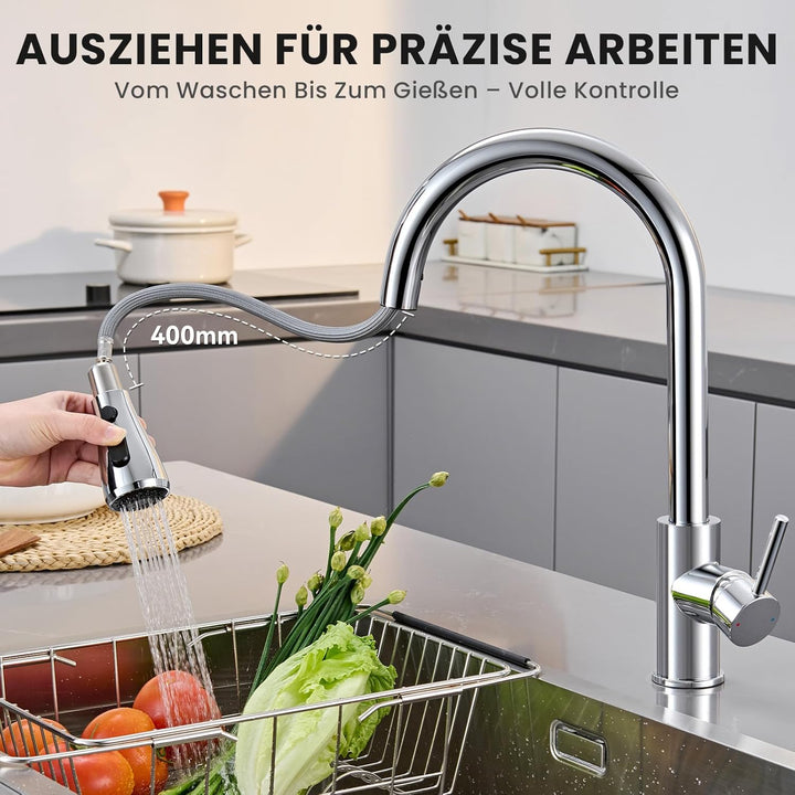 Wasserhahn küche mit Ausziehbar Hochdruck fur Spülbecken - CECIPA Küchenarmatur mit Brause - Edelsta