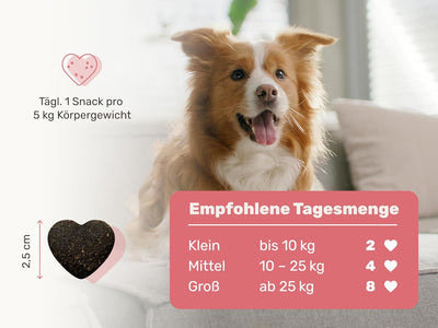 mammaly Lucky Belly für Hunde Verdauungssnacks mit Probiotika Hund, Heilmoor, Hund Darmflora aufbaue