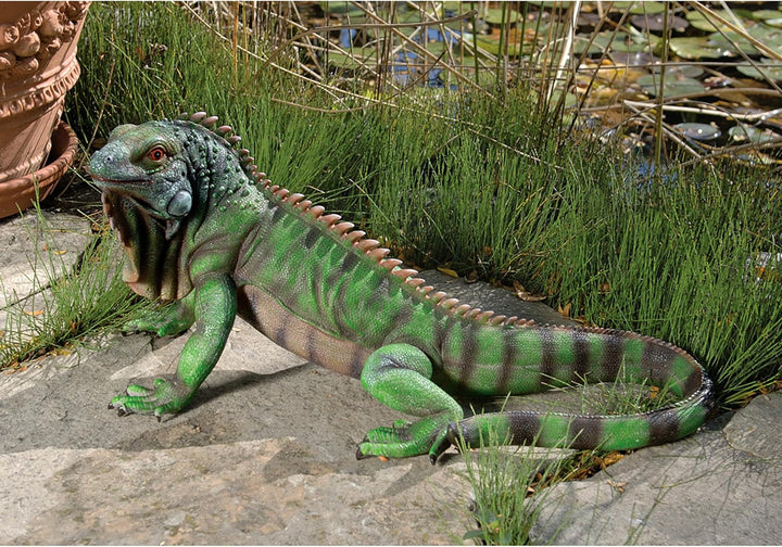 Design Toscano Iggy der Leguan Gartenstatue, Polyresin, Vollfarbe, 24 x 56 x 22 cm 24x56x24 cm, 24x5