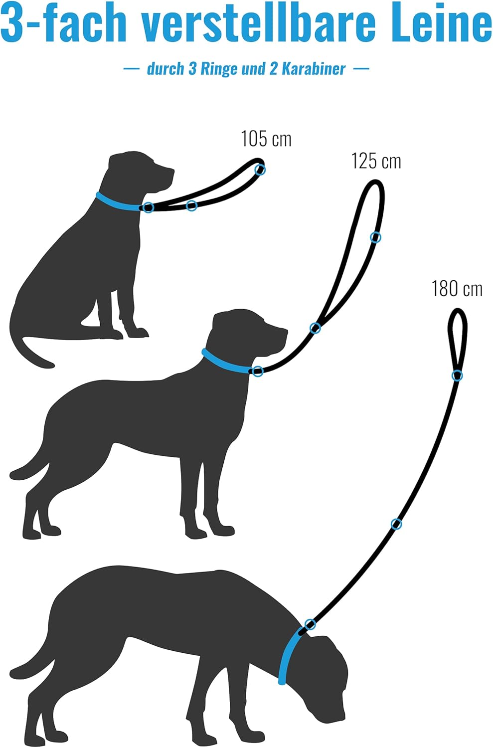 FREUDENTIER® Hundehalsband & Hundeleine aus Canvas im Set - 2m lang & 3-Fach verstellbar - Lighthous