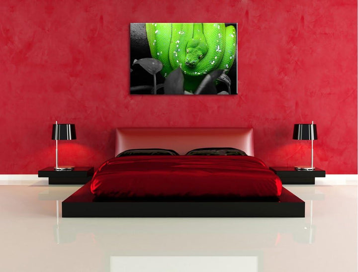 Giftige Grüne Schlange schwarz/weiss Format: 100x70 auf Leinwand, XXL riesige Bilder fertig gerahmt