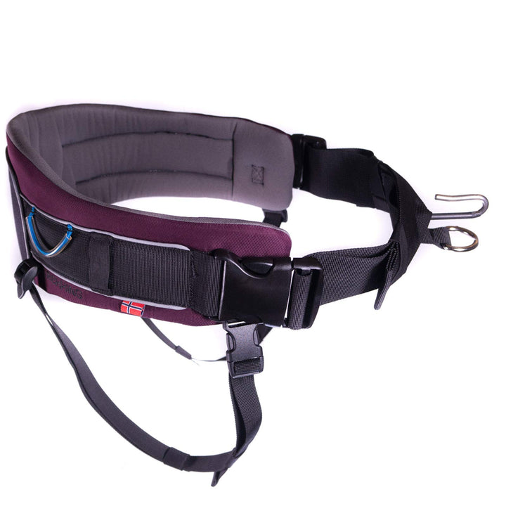 Trekking Belt von Nonstop, Laufgurt,Jogginggurt, Wandergurt für Hunde (S, Purple) S Purple, S Purple