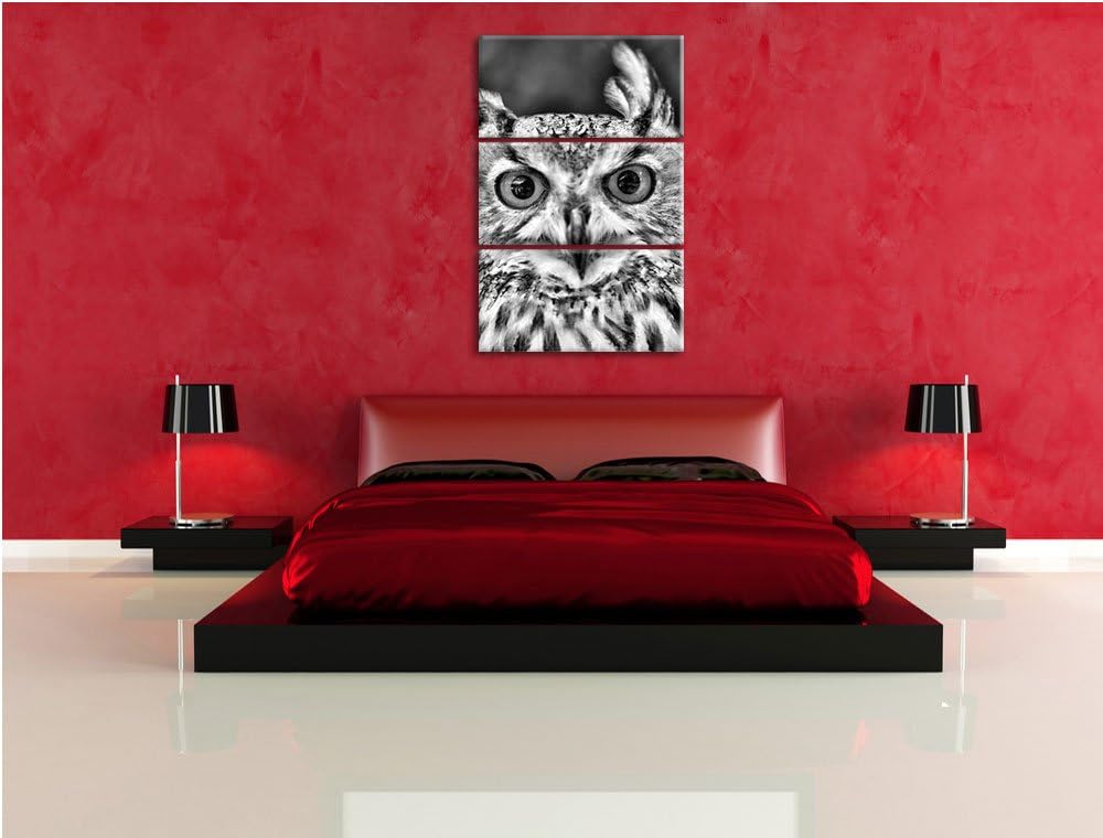 Pixxprint Eulen Kautz Orange Augen als Leinwandbild/Grösse: 3 Teilig (120x80) cm/Wandbild/Kunstdruck