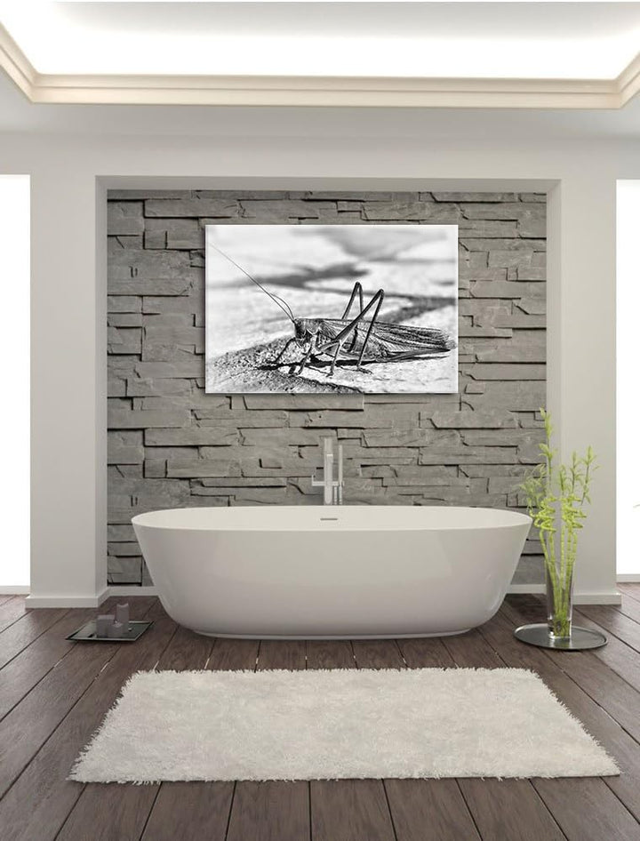 Pixxprint Elegante Heuschrecke / 100x70cm Leinwandbild bespannt auf Holzrahmen/Wandbild Kunstdruck D