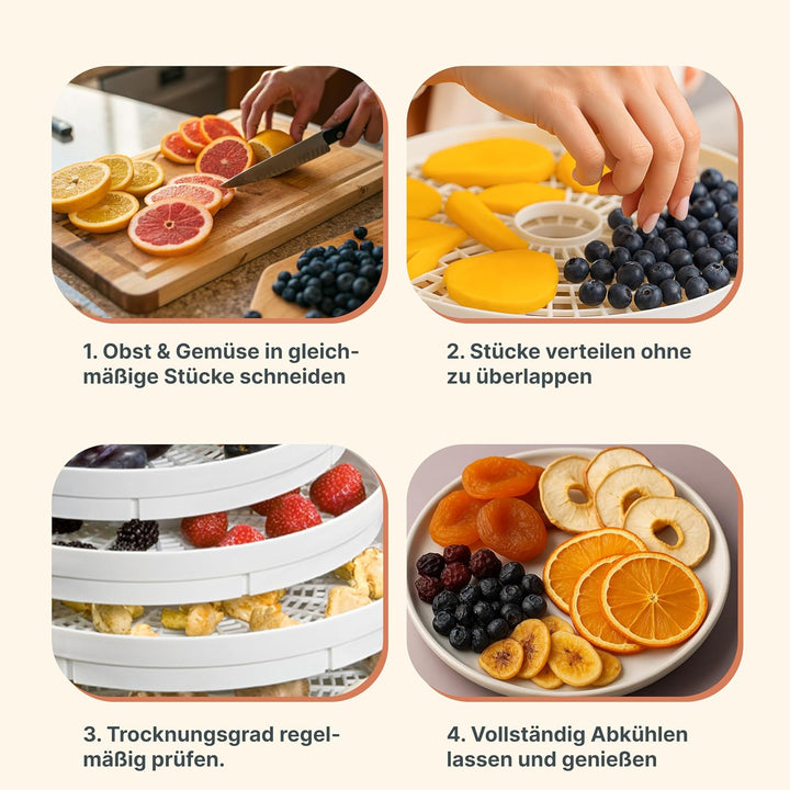 Clatronic DR 2751 Dörrautomat, 250 W mit Überhitzungsschutz, trocknet Obst, Gemüse, Kräuter, Fleisch