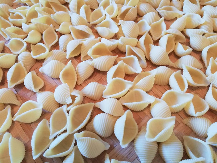 BNN - Avance/Serie 7000 - Conchiglioni Conchigliette Pasta Disc kompatibel mit Philips Pasta Maker A