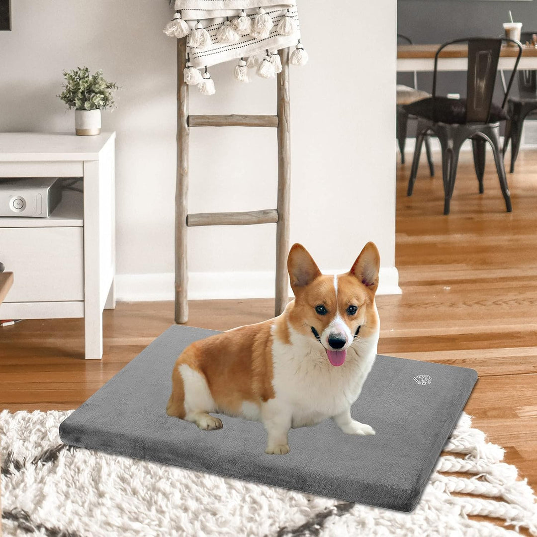 EMPSIGN Hundebett Mittelgrosse Hunde Hundekissen Waschbar, Hundebett Wasserdicht M 74x46x5.8cm, Hund